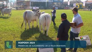 JUZGAMIENTO DE OVINOS RAZA SANTA INÉS Y DROPER [upl. by Balf42]