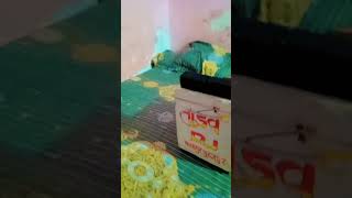 Tandav Dj Malakpur Jiji kab Ga [upl. by Amann]