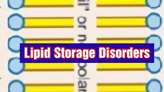 Lipid Storage Disorders Lipidosis Biochemistry [upl. by Spracklen]