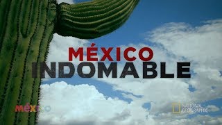 México Indomable Episodio 2 [upl. by Anilasor]