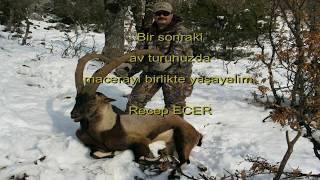 Bezoar Ibexteke Hunting in Turkey with Recep Ecer [upl. by Nilloc982]