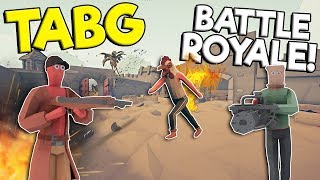 TOTALLY ACCURATE BATTLE ROYALE SIMULATOR  Totally Accurate Battlegrounds Gameplay  TABG Game [upl. by Ikim]