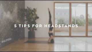 5 Tips for Headstands With Naya Rappaport [upl. by Celene206]