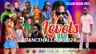 Dancehall Mix 2024  New Dancehall Songs  Levels  450Chronic lawAlkalineVybz kartelNigy Boy [upl. by Aneehs945]