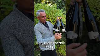 CZYM JEST DEGUSTACJA PIONOWA wino winos buywine foodandwine jedzenie natura wine drink [upl. by Keldon418]