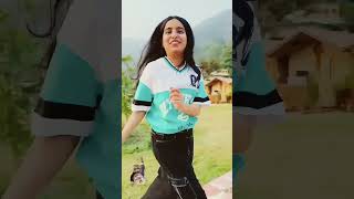 Tha jangal mast risotto Rishikesh part3  jhule se gir gayi priyal 🤣 dushyanthukreja sorts [upl. by Osicran]