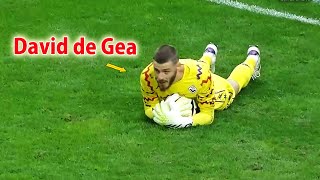 David de Gea is still WORLDCLASS in 2024 [upl. by Rattray]