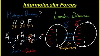 Learning The Intermolecular Forces  Easy Chemistry Help Crash Course [upl. by Aicek106]