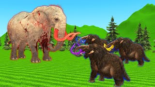 3 Wooly Mammoths vs Giant Elephant  Battle for watermelon [upl. by Wadell412]