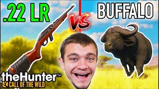 22LR vs GIANT Water Buffalo [upl. by Jadd316]