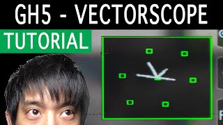 GH5 Vectorscope for skin tones and more [upl. by Kilam140]