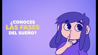 Fases del sueño [upl. by Carrelli]