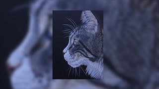 Dessiner un chat aux crayons de couleur [upl. by Glogau]