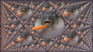 Pufferfish Eats Carrot over 1 million times [upl. by Ellennaj607]