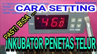 Cara setting thermostart Stc1000 inkubator penetas telur [upl. by Kalman676]