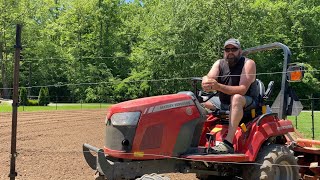 Tilling Garden With Massey Ferguson And Planting Garden [upl. by Ansev]