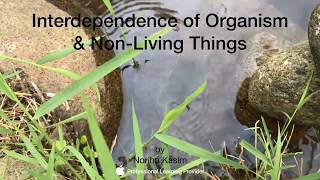 Interdependence amp Interaction among organisms  An Overview [upl. by Nidnal980]