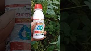 Super life insecticide Thiamethoxam 126  Lambdacyhalothrin 95 ZC insecticide [upl. by Laird700]