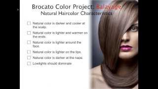 Hair Color HowTo Balayage amp Ombre Tips Tricks and Techniques [upl. by Ebberta]