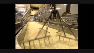 HOW ITS MADE  Mozzerella Cheese UK Version [upl. by Garratt128]