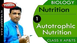 Autotrophic Nutrition Nutrition  Biology  Science  Class 10 [upl. by Ahsimac]