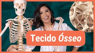 TECIDO ÓSSEO  Histologia [upl. by Palocz169]