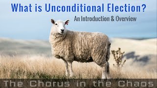 Explaining Unconditional Election in Under 5minutes [upl. by Mil54]