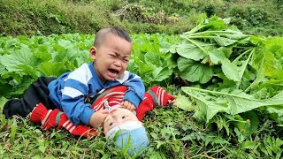 Single mother Harvesting green vegetables to sell at the market  taking care of ducks  farm life [upl. by Anialed]