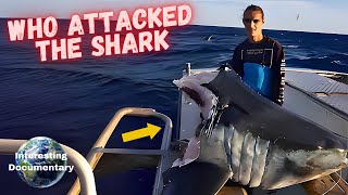 Mystery DeepSea Monster Bites Giant Mako Shark in Half [upl. by Denver295]