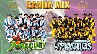 Quebradita Dance Locura de los 90 con Banda Machos y Banda Maguey 🕺🎶 [upl. by Mandie]