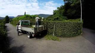 Hecke schneiden mit den Gartenprofis [upl. by Oirottiv]