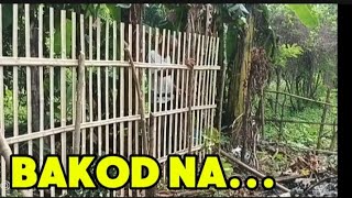 NAG PABAKOD SA LIKUD NG KUBO KUBO PANOLIOFFICIAL20 [upl. by Nitram]