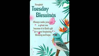 Happy Tuesday😊Tuesday Blessings quote quoteoftheday shorts goodvibes positivevibes [upl. by Hemminger]