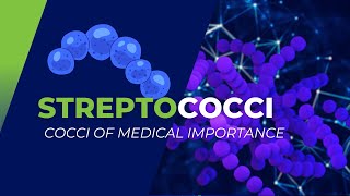 Streptococci of Medical Importance S pyogenes S agalactiae S pneumoniae and others [upl. by Adnalay107]