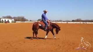 Reining Training  Fundamentals to Reining [upl. by Anivram909]