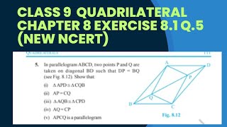 class 9 Quadrilateral chapter 8 exercise 81 Q5 solutionncertcbse [upl. by Olsen]