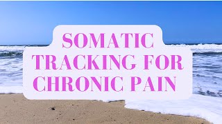 Relief from Pain Somatic Tracking Meditation [upl. by Ahilam]