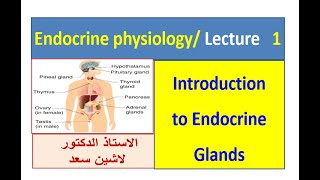 Introduction to endocrine Lashin دلاشين [upl. by Yrokcaz927]