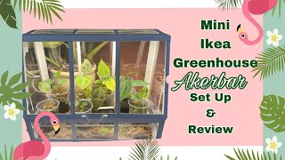 My Mini Ikea Greenhouse Akerbar Set Up amp Review  How to Weatherstrip Ikea Mini Greenhouse Cabinet [upl. by Mastic]