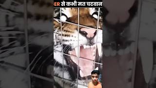 Tiger Ki Jubaan Khatarnak Hai 😱🥶shorts tigers lick animals dangerousfacts subscribe [upl. by Kcirred349]