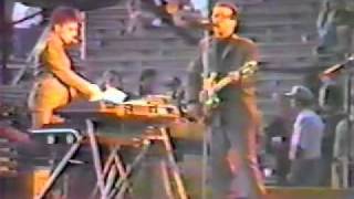 Elvis Costello  Mystery Dance 1982 [upl. by Dasa]