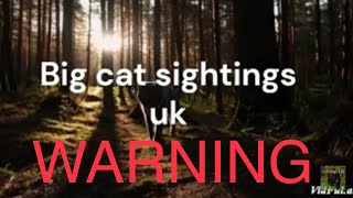 Big Cat Sightings UK NEW Scotish And English 2024 [upl. by Cogswell]