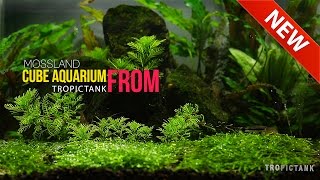 Beautiful Aquarium Scenes Part 3 [upl. by Schrader]