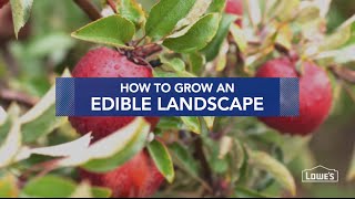 How to Grow an Edible Landscape [upl. by Averi96]