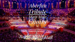 Aberfan Tribute  Don’t Go Chasing Shadows  Welsh Festival of Male Choirs Royal Albert Hall [upl. by Engel520]