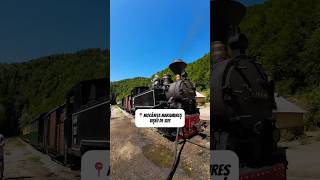 🚂 Ultima cale ferată forestieră din România Mocănița Maramureșului maramures travelromania [upl. by Auroora307]