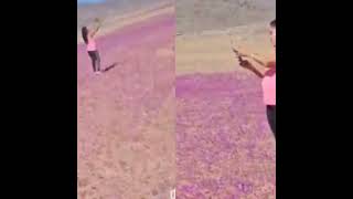 Directora de Conaf en Atacama y viral de mujer pisando flores en la zona quotEs pisar el sustrato [upl. by Priscella]