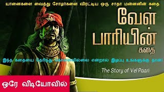 Velpari Story in Mr Tamilan Voice மிஸ்டர் தமிழன் குரலில் வேள்பாரி [upl. by Donegan463]