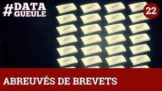 Abreuvés de brevets  DATAGUEULE 22 [upl. by Jeanne]