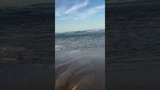 woodgate beach brisbane youtubeshorts visitaustralia nature youtube travel beachlife sea [upl. by Anol]